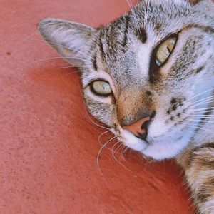 Meet your Posher, Marilyn